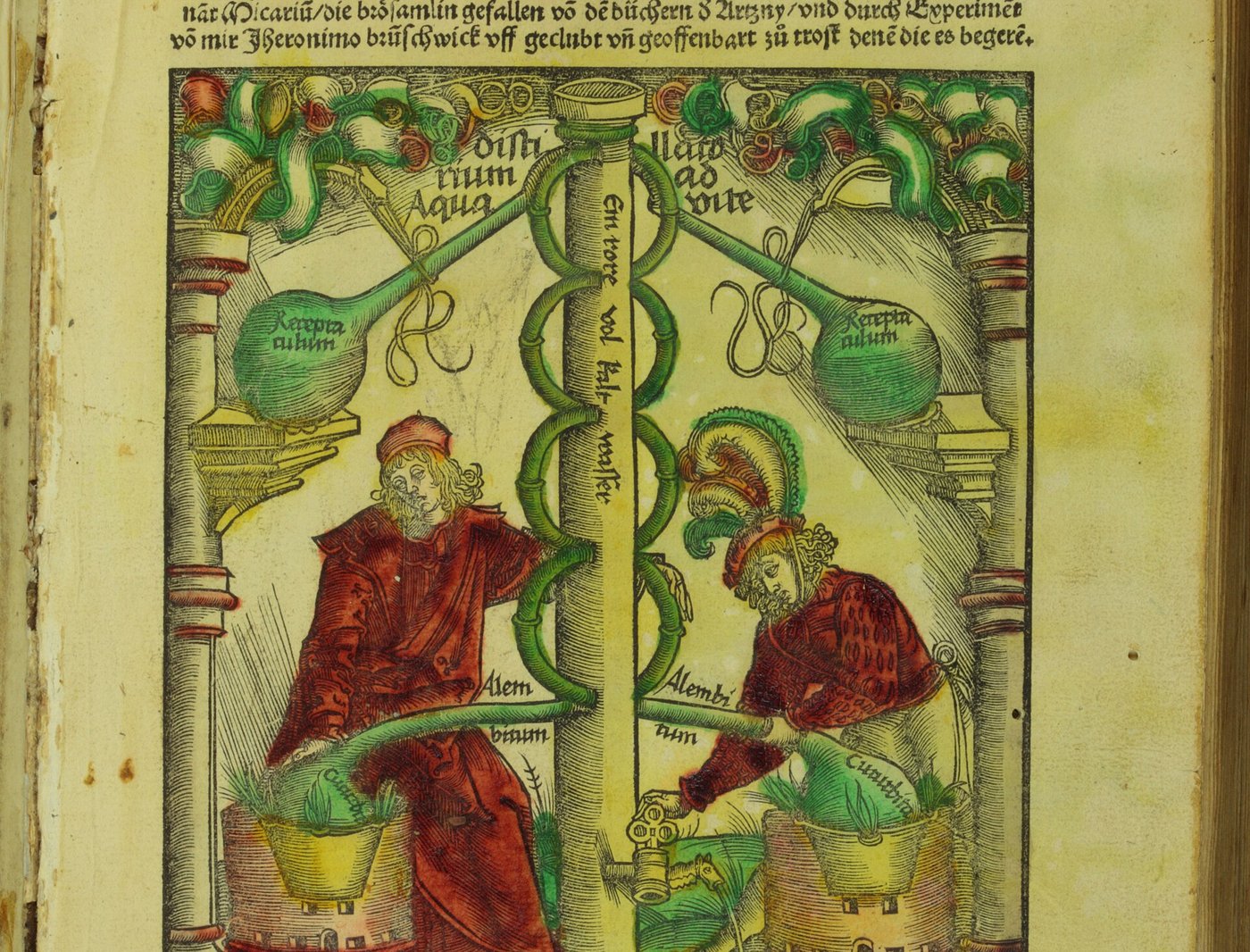 Paracelsus ve Dört Hılta Karşı İlk İsyan